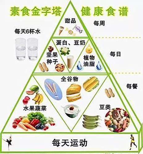 素食养生_素食文化：可是你知道身体器官最爱的食物是什么吗？