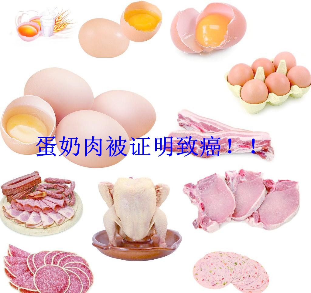 蛋奶肉_副本
