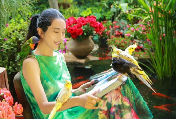 杨丽萍7