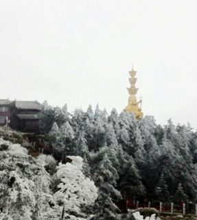 第七届素食营销论坛开幕暨峨眉朝圣赏雪