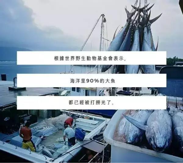素食