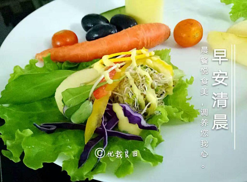 蔬素艺术料理 (4)