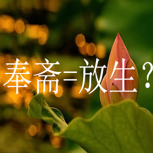 花钱请人吃素跟放生有关系吗？十个问题道破真相