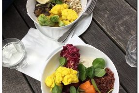 【精致素食·素食餐厅】之【西式餐厅·蔬菜素食】柏林 2018-5-16