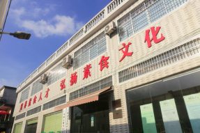新素食主义者——广州素食学校