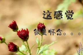 致踏上实训的准素厨们：带上你的初心，勇往直前！