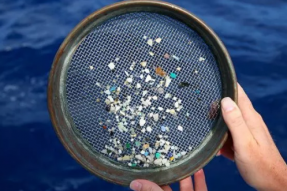 一个成年人每年要吃5万颗塑料微粒，从北极到南极，无处可逃……