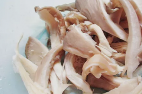 秋天的菌菇最养人！这几种菇一定要吃~附美味素食谱