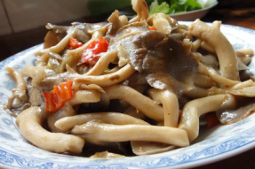 素食菜谱：孜然平菇