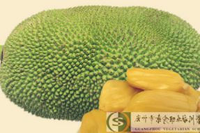 【素食资讯】菠萝蜜将会成为2020年最受欢迎的口味