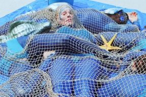 【素食资讯】悉尼圣诞举办“海鲜马拉松”，澳洲素食者集体扮“死鱼”抗议