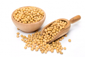 素食食材|关于大豆的六大谬论（2）