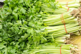 这些有“特殊”气味的蔬菜，能防癌症、护血管、抗衰老！现在吃正当季——香菜篇