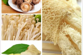 【素食健康养生菜谱】汤品类：竹笙金针汤