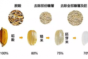 【素食养生】一碗抵五碗普通大米，糙米引领“吃米革命”|素食食材