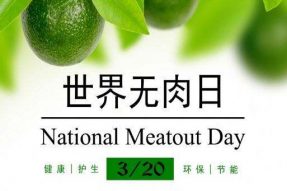 3.20世界无肉日：当你停止吃肉，开始吃素，你会看到这些变化，素食的力量不可思议！