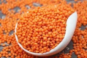 【素食养生】红扁豆：越小越有料，优质蛋白还补铁，素食者一定要多吃！