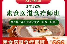 艾灸、拔罐、刮痧手法现场教学及实操|11月20-21日素食医道食疗师班面授