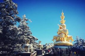 【推广】弥陀诞1月2日峨眉山乐山普贤大行禅素游学体验之旅5天