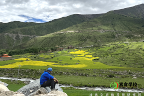 广东黄埔军校辛亥革命纪念馆素食学校VEGEMALL轻断食*素食康养研修之旅 5天